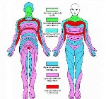Поликлиники, медицинские офисы объявление но. 2753973: Диагностика РУНO,  полное тестирование состояния оpганизма