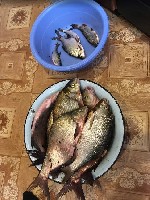 Разное объявление но. 2769999: Рыбалка в условиях Дикой Природы на Оке в Калужской области