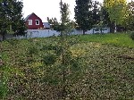 Продается сосновый участок.  Растут сосны,  кедр,  пихты,  фруктовые деревья.  Участок солнечный,  сухой,  граничит только с одним соседом,  есть возможность расширения на 3 сотки.  По границе участка ...