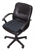 Когда мы сидим,  температура тела поднимается,  встаем – резко падает.  Перепад температур в области органов малого таза – это магнит,  который притягивает простатит,  молочницу,  геморрой,  даже бесп ...