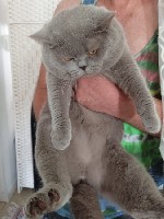 Услуги объявление но. 2810615: Приглашаем на вязку