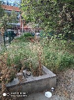 Уборка объявление но. 2832615: Добросовестно покосим траву,  уборка участка,  вспашка огорода