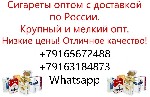 Продукты питания объявление но. 2839880: Сигареты оптом с доставкой по России крупный и мелкий опт Владимир