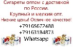 Продукты питания объявление но. 2839933: Сигареты оптом с доставкой по России крупный и мелкий опт Курск