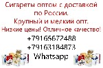 Продукты питания объявление но. 2839975: Сигареты оптом с доставкой по России крупный и мелкий опт Сыктывкар