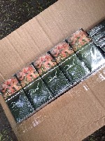 Продукты питания объявление но. 2842652: Купить сигареты оптом Чита