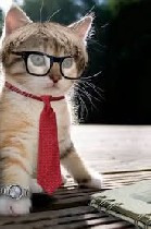 в Региональный центр требуется специалист на прием звонков,  оформление заявок консультирование,  работа с несложной документацией:  листы заказов,  накладные ,  контракты.  
Требуется,  терпеливый,  ...