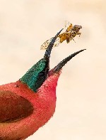 От пяти тысяч до девятисот тысяч евро на срок от 3 до 25 лет.  
контакт для информации:  Coralielinberg@gmail.  com ...