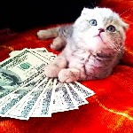 Требуется:  
🌷Веб модель 🌷

Предлагаем:  
• График работы на выбор:  утро,  день,  вечер,  ночь.  
• Продолжительность смены 6 - 8 час.  
• 5 рабочих дней в неделю.  
• Бесплатное,  постепенное ...