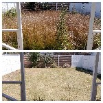 Уборка объявление но. 2896663: Добросовестно.  Уборка дач и участков домов