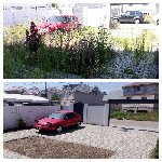 Уборка объявление но. 2896663: Добросовестно.  Уборка дач и участков домов