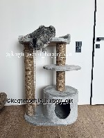 Разное объявление но. 2900848: Нерухомість для ваших котиків