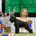 Высокопородные щенки цвергшнауцера черного окраса.  
Профессиональное выращивание,  тщательный подбор производителей,  сопровождение от заводчика.  
Питомник с 23 летней историей в породе.  
Тел.   ...