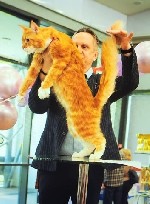 Услуги объявление но. 2944760: приглашение на вязку