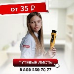 Грузоперевозки, переезды, грузчики объявление но. 3005872: Путевой лист.  Предрейсовый осмотр в Сочи