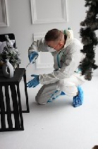 Уборка объявление но. 3037864: Дезинсекция,  уничтожение насекомых тараканов,  клопов