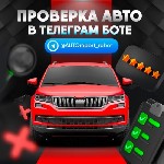 У меня есть телеграмм бот по проверке автомобиля,  можно взять в особенность,  что за неполный отчёт ничего платить не нужно,  а так 100р,  что собственно считаю,  что тоже немного по сравнению с похо ...