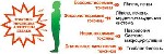 Косметика, парфюмерия объявление но. 784648: Пластырь на стопы для выведения токсинов из организма. OOO MED TRADE INDIA