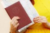 Эмиграционные услуги объявление но. 792525: Легализация документов для учебы в Нидерландах