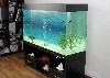 Аквариумные объявление но. 797396: Аквариум 300л. с крышкой и тумбой, новый