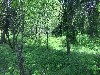 Продам земельный участок 13.2 соток в пос. Зеленоградский в окружении лесного массива, вблизи водоема (лесной пруд), по Ярославскому шоссе в 29 км от МКАД, 40-60 мин. до центра Москвы на электричке. З ...