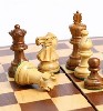 Помогу освоить азы игры или повысить уровень мастерства Вашего ребенка (присвоение спортивных разрядов). Учу и разбираем интересные стратегий в шахматах. Индивидуальный подход к занятиям. Все учебные  ...