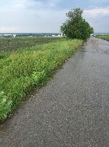 земля зарегистрирована на одного человека документы все в порядке продам 8 гектаров земли под сельское хозяйство! 
330000 евро ...