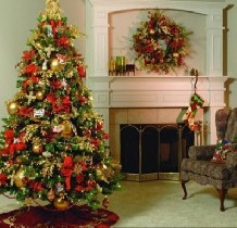 Самое время заказать живую новогоднюю ёлку. У нас самые низкие цены и только самые пушистые живые елки. Мы бесплатно доставим пышную живую елку прямо к Вам домой. Звоните и заказывайте, доставим в ука ...