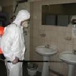 Уборка объявление но. 976586: КОРОЛЕВ Уничтожение клопов тараканов от 777 р 89031474141