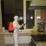 Разное объявление но. 976616: МЫТИЩИ СРЕДСТВО от клопов тараканов и всех насекомых для уничтожения в квартире офисе на даче гарантия