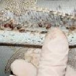 Ремонтные услуги объявление но. 976618: Фрязино уничтожение клопов всех насекомых в квартире 8 985 153 26 21 холодным туманом гарантия