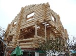 Строительные услуги объявление но. 992935: Качественные срубы домов и бань ручной рубки от производителя.
