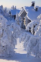 Продам помещение свободного назначения 305 кв.м. ...бывший хлебозавод. Помещение свободного назначения 100 кв.м. бывшая столовая. Два жилых бревенчатых дома с земельными участками. Дома находятся рядо ...