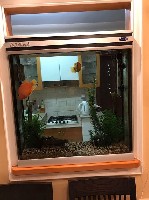 Аквариумные объявление но. 993694: продажа