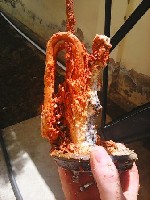 Ремонт компьютеров, техники, электроники объявление но. 999652: Сервис центр по обслуживанию и ремонту накопительных электрически водонагревателей Ariston Electrolux Thermex Thermax Thermolux Thermomax и других. В ТАШКЕНТЕ